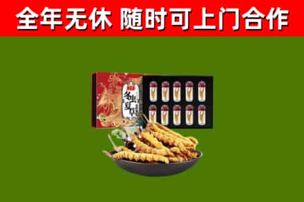 赞皇烟酒回收冬虫夏草礼盒.jpg