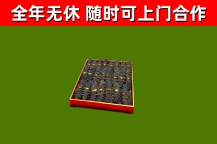 赞皇回收海参